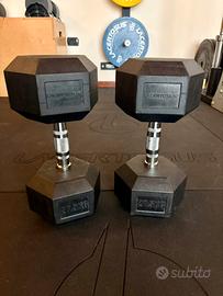 Manubri Lacertosus 27,5 Kg