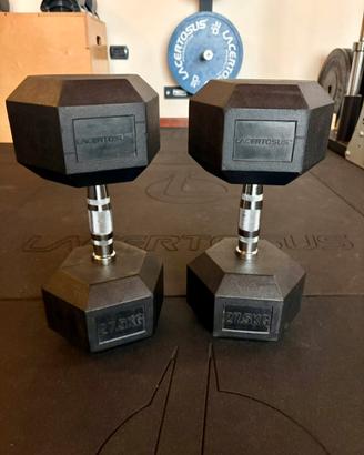 Manubri Lacertosus 27,5 Kg