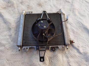 ricambi Beverly 250