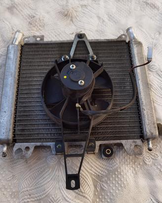 ricambi Beverly 250