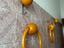 Immagine 3