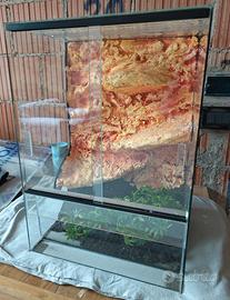 Terrario in vetro per rettili e insetti