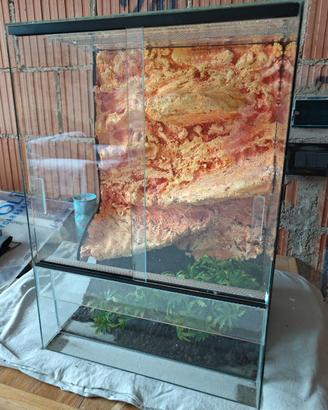 Terrario in vetro per rettili e insetti