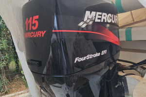 Mercury 115 Elpt4s