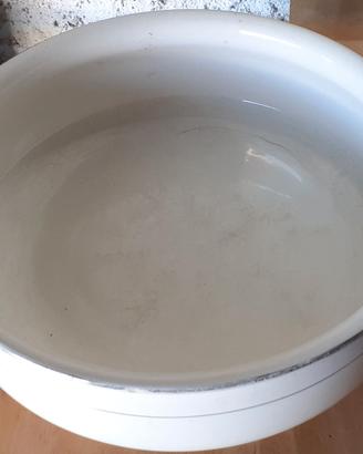 Catino lavamani vintage Villeroy & Boch