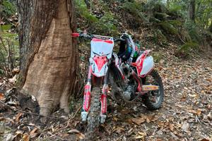 Honda crf 250 2016