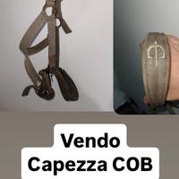 3 capezze cob