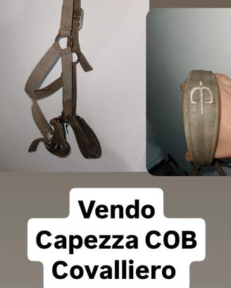 3 capezze cob