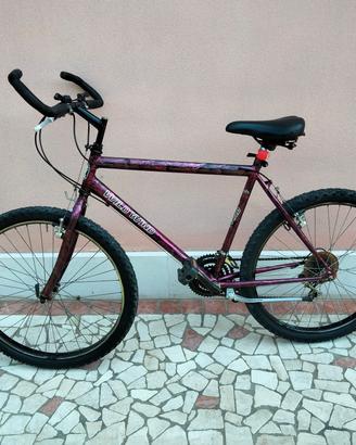 Mountain bike 