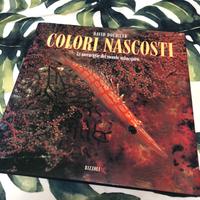 COLORI NASCOSTI - COPERTINA RIGIDA