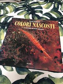COLORI NASCOSTI - COPERTINA RIGIDA