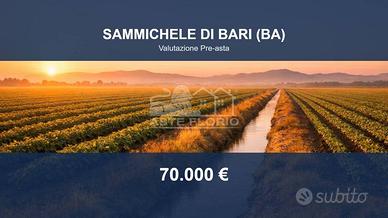 Immobile in asta di 147749 m² a Sammichele di Bari