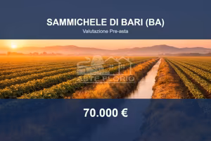 Immobile in asta di 147749 m² a Sammichele di Bari