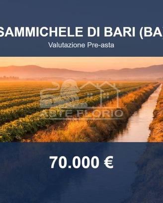 Immobile in asta di 147749 m² a Sammichele di Bari