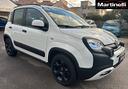 fiat-panda-1-0-firefly-s-s-hybrid-city-cross