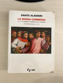 Libro scolastico “Divina Commedia”