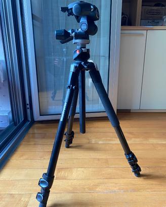 Cavalletto Manfrotto