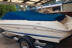 Sea Ray Signature 18