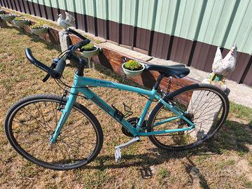 Bianchi C-Sport 1 Camaleonte