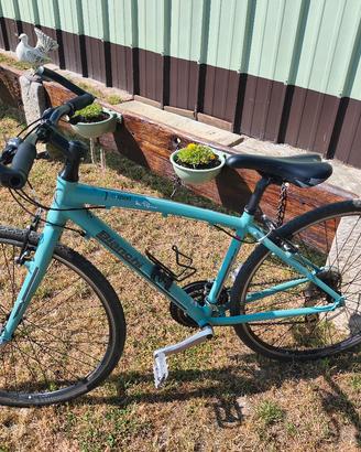 Bianchi C-Sport 1 Camaleonte