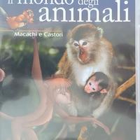 DVD IL MONDO DEGLI ANIMALI