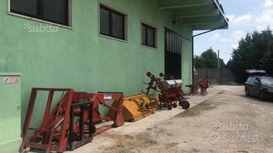 Capanonne artigianale