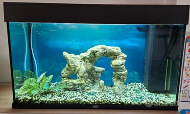 ACQUARIO LED JUWEL RIO 125 LITRI
