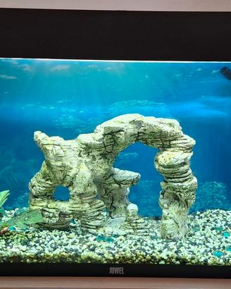 ACQUARIO LED JUWEL RIO 125 LITRI