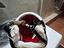Immagine 3
