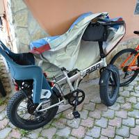 bici elettrica