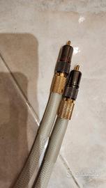 White gold mod nadir