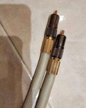 White gold mod nadir