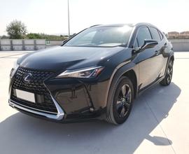 LEXUS UX - UX Hybrid Executive