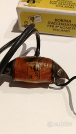 Bobina AT Moto Guzzi Trotter 50cc