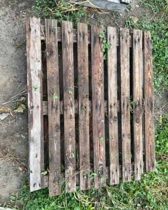 Bancali legno