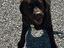 Immagine 5