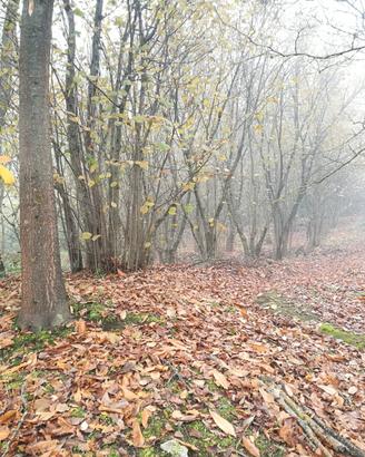 A pochi minuti dall'uscita av-est