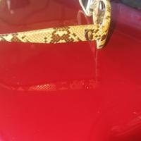 occhiali vintage di Gianni versace 