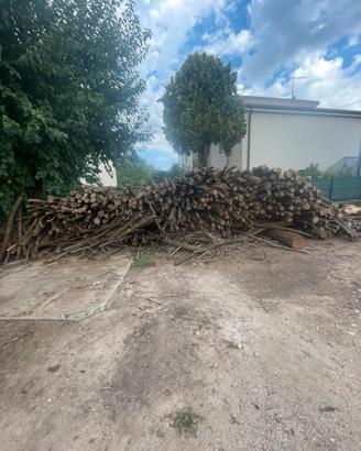 Legna