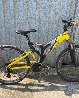 Mountain bike