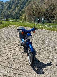 Honda Belgium pk 50