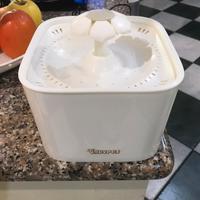 Fontanella d'acqua per gatto