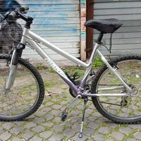 Mtb Giant