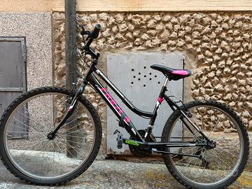 Bicicletta
