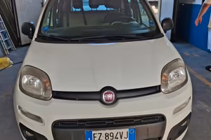 panda