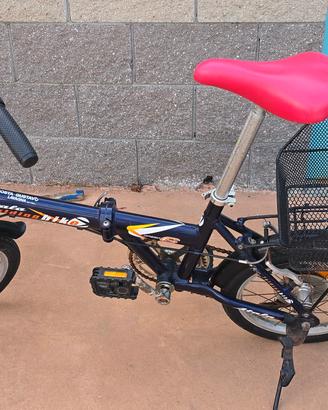 bicicletta pieghevole