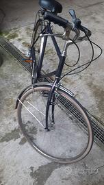 Bicicletta da città-passeggio