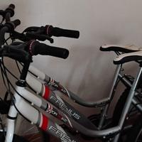 Biciclette Frejus 