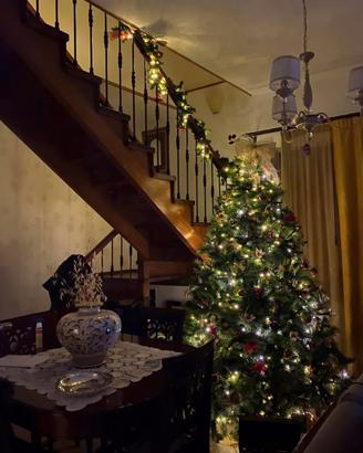 Albero di natale