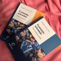 Libri economia aziendale - Broglia, Corsi, Mion